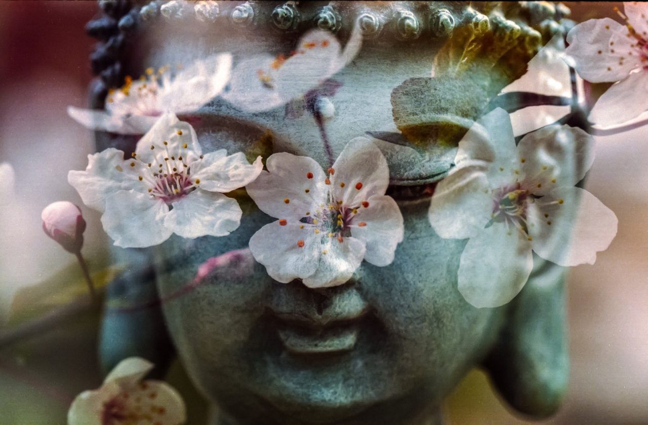 Flower Buddha